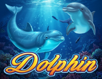 Dolphin